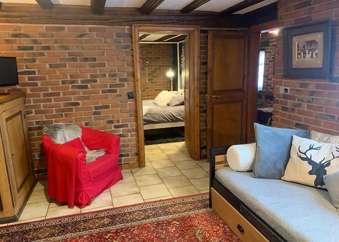 Gîte de caractère au calme , proche quartier historique, Au Merlenchanteur
